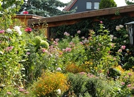 Unser Garten